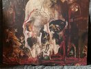 Slayer-South of Heaven Vinyl LP/ Metallica/ Megadeth/ Anthrax