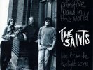 The Saints The Most Primitive Band In The World Live Brisbane1974 Vinyl LP Album