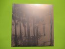 THE MAGNETIC FIELDS 100,000 FIREFLIES 45 7