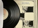 Dr. Dog Easy Beat Vinyl LP 2008 Park The Van Records (EX)