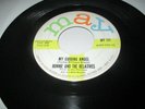 Ronnie and the Relatives, My Guiding Angel. Ronettes, Rare Doo-Wop  Record 45 VG