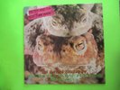 PETER AND THE TEST TUBE BABIES THE MATING SOUNDS OF SOUTH AMERICAN FROGS LP UK
