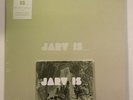 JARV IS - BEYOND THE PALE  12” ORANGE  VINYL & JARVIS COCKER SIGNED POSTCARD