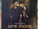 Twilight Saga: New Moon Original Motion Picture Soundtrack LP Vinyl