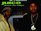 Eric B & Rakim - Juice ( Know The ledge) Japanese Rap 45 mint Boom Bap
