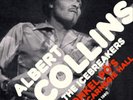 Albert Collins and The Icebreakers Albert Collins and the Icebreakers a (Vinyl)