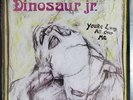 Dinosaur Jr You're Living All Over Me, 1st Press Dinosaur Jr SST Very Rare