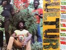 Culture - International Herb - Vinyl Record.. - K5826K