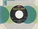 Mamie Lee I Can Feel Him Slipping  Away MGM  Soul Northern Motown