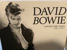 David Bowie Loving the Alien vinyl LP box set