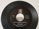 The Shakers One Wonderful Moment 45rpm