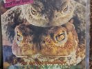 Peter & The Test Tube Babies - LP The Mating Sounds of South American Frogs