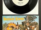 ANNETTE+THE UP BEATS Indian Giver RARE 1961 PROMO 45+PIC SLEEVE Teen Disney VG+