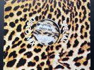 T. Rex I Love To Boogie French 12” 45