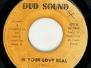 BABY LOVE Is Your Love Real / Do It For Me Dud Soul Funk 45 HEAR