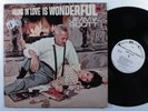JIMMY SCOTT Falling In Love Is Wonderful TANGERINE LP VG+ mono i
