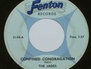 THE JADES Confined Congragation 1967 FENTON Label Michigan Garage Psych Fuzz 45