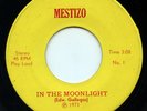 HEAR - Rare Latin Funk 45 - Mestizo - In The Moonlight - Mestizo # 1