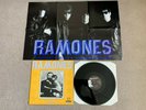 Ramones Somebody Put Something In My Drink 12
