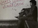 ORIGINAL 1986 JAMES BROWN Album IN THE JUNGLE GROOVE Record 2Lp VINYL is MINT