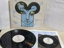 The Chameleons What Does Anything Mean 1985 Statik Gatefold w/In Shreds Promo 45