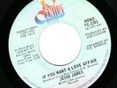 70s Soul  Jesse James - If You Want A Love Affair - 20th Century DEMO ORIGINAL