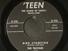 TELSTARS: bird stomping / lonely surf 'TEEN 7