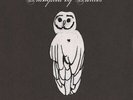 Trampled by Turtles - Palomino [New Vinyl LP]
