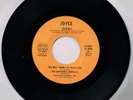 Captain & Tennille The Way I Want To Touch You /Disney Girls 1974 Joyce label 45
