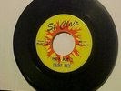 Pgh Garage Punk THE SWAMP RATS St. Clair MF-69 MF-70 LOUIE LOUIE / HEY JOE 45
