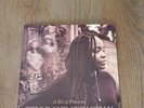 Belle and Sebastian - A Bit of Previous Vinyl SIGNED New