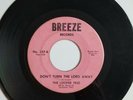 rare country hillbilly 45 rpm  The Looper Trio   Breeze Records 357 Tennessee