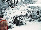 Chris Clark - Clarence Park (LP, Album)