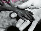 Dead Kennedys - Plastic Surgery Disasters (Reissue) (NEW VINYL LP)