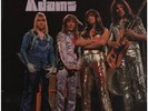 The Sweet Sweet Fanny Adams NEAR MINT Rca Vinyl LP