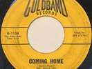 JAY STUTES Coming Home CAJUN R&B ROCKER 45 Goldband *hear*