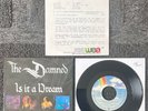 The Damned Is It A Dream Rare German PR Promo 7
