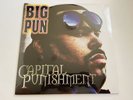 Capital Punishment by Big Pun Vinyl New Sealed Hip Hop Vinyl