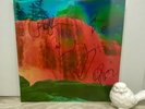 Waterfall II SIGNED by My Morning Jacket; 5 autographs; Deluxe Orange/Green 180g