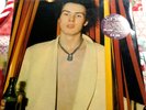 Sid Vicious ALBUM Sid Sings 1979 Vinyl LP INNER SLEEVE No Poster THE Sex Pistols