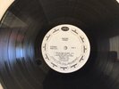 Stray 'Suicide' Rare White Label Promo USA Release 