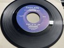 The Emulations 1971 SWEET SOUL 45 Story Of My Live  My Christmas Tree Mint- HEAR