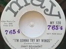 45 NOS / JIMMY BEAUMONT / I'M GONNA TRY MY WINGS / MAY / LISTEN