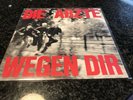 Die Ärzte Wegen Dir Single Vinyl 7