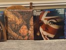 John Mayall vinyl lp Lot