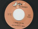 DOOWOP TEEN - FRATERNITY BROS. - I THINKS IT'S OVER   -HEAR -1960's LOWERY