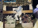 Rudy Calzado – Salsa Y Alegria