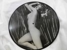Marilyn Monroe Nude Vinyl LP Black & White RARE Picture Disc Playboy Photos