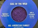 CALL OF THE WILD All American Family 45 PRIVATE New Wave Punk RARE Listen HEAR
