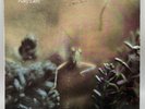 Steely Dan - Katy Lied LP ABC Records  VG+